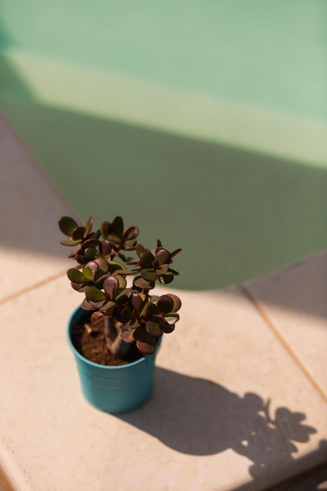 Benvenuti In Puglia Bed and Breakfast Crispiano Εξωτερικό φωτογραφία